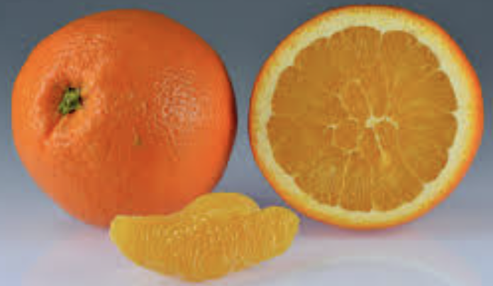 10 Fruits With The Highest Amount Of Protein